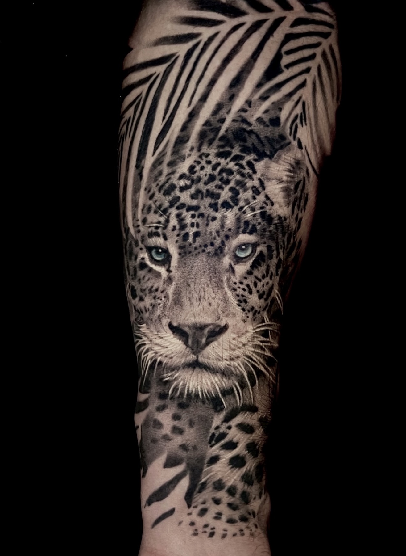 Black and grey jaguar realism forearm tattoo with blue eyes